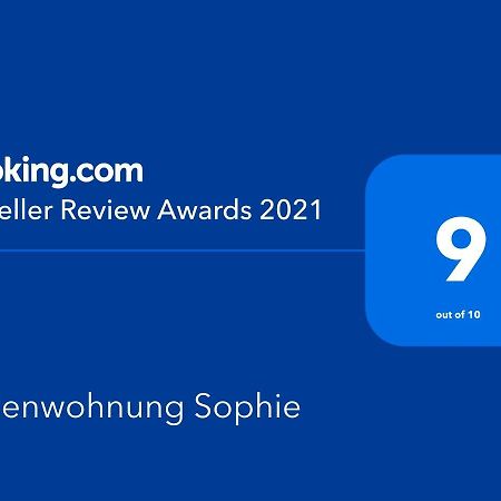 Ferienwohnungen Sophie Саарбрюккен Экстерьер фото